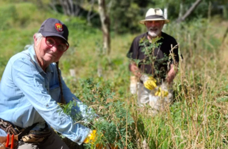 Delivering Local Benefits